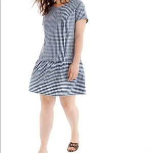 Universal Standard for J. Crew Gingham Dress